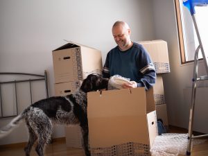 Before Removalists Arrive